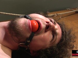 سكس في الكلية, شورت بزبر, طالبه, مدرس